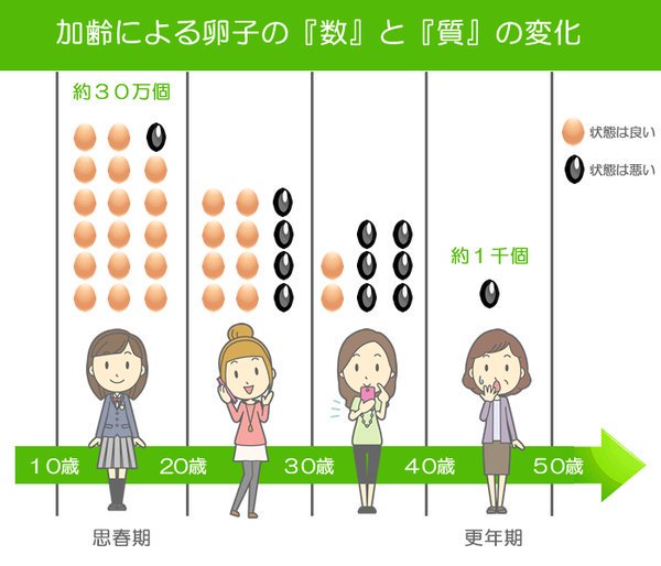 【画像】女さんの卵子の質の変化