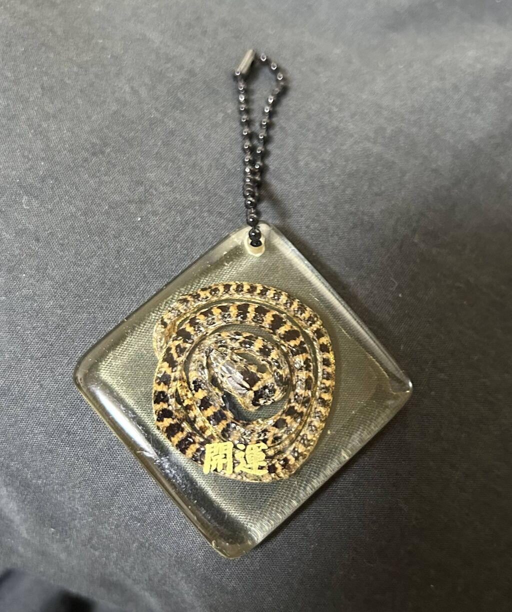 【画像】蛇のキーホルダー買ったけどどう？