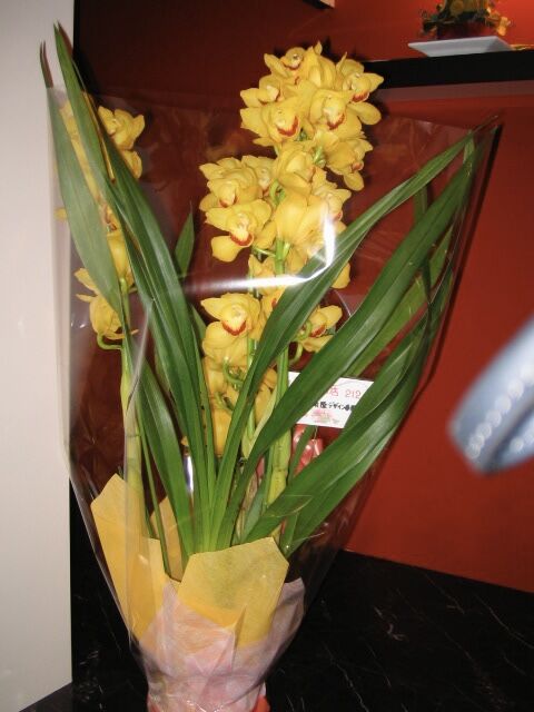 B7C9E7D9-4417-4BDE-B9BC-91EB157AE664