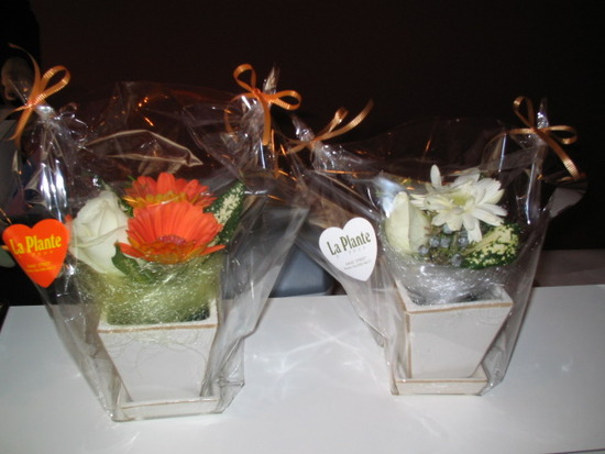 D0623D65-6239-4A9A-9CA9-6947F1928281