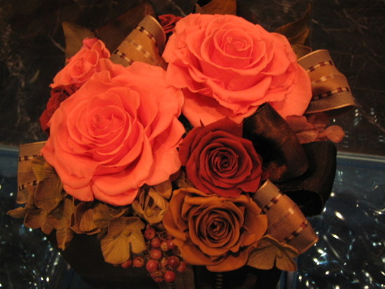 DD6D8B19-4C1C-4FF6-964C-1B9CFB20176B