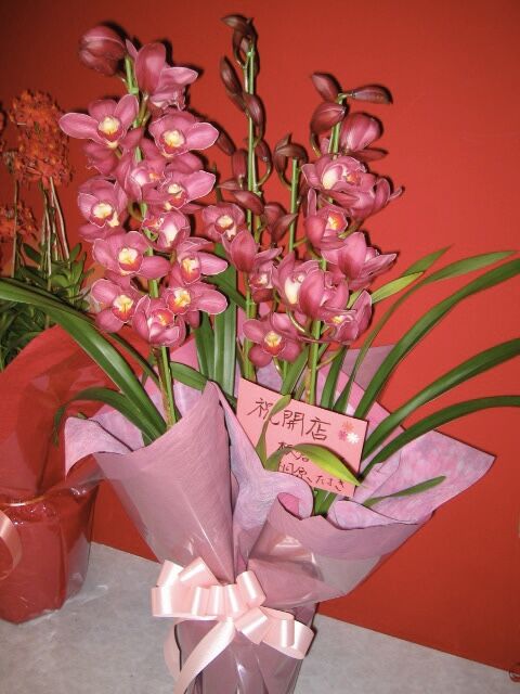 91F321BB-B6CA-421D-92C5-EA2F2FC5E364