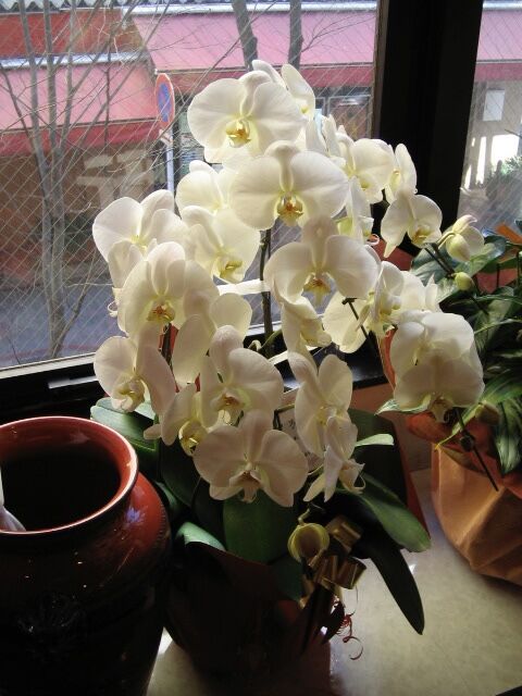 607296D3-C018-4E1C-8435-EE50D0717956