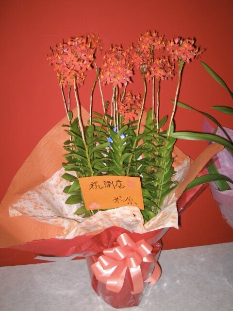 42098B32-6796-4749-9D67-7C0095EA92CC