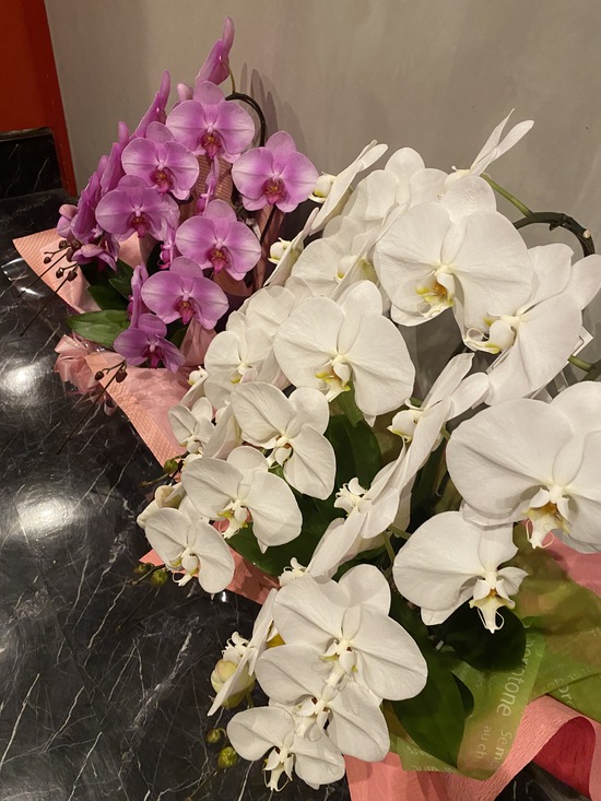 277A6D3D-AE32-4988-8E48-CB630E14F21F