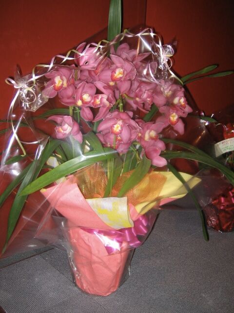 91922265-B23E-4E69-91B3-FD94EABC43B4