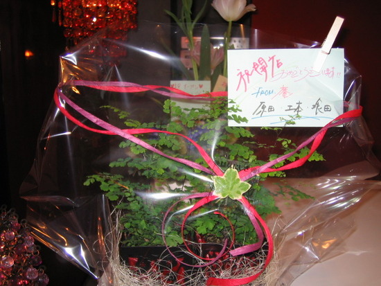 F320B5A8-D1D3-4A5D-9E70-24C5D1393DB3