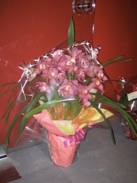 81836C82-22CF-4C1E-AF59-8BF91C01195D