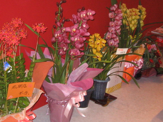 0F564A9B-A9D0-4AA2-9310-3BC78BA5EBBF