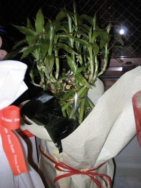 B7C37DA6-1283-40B0-8050-CA71008D6F72