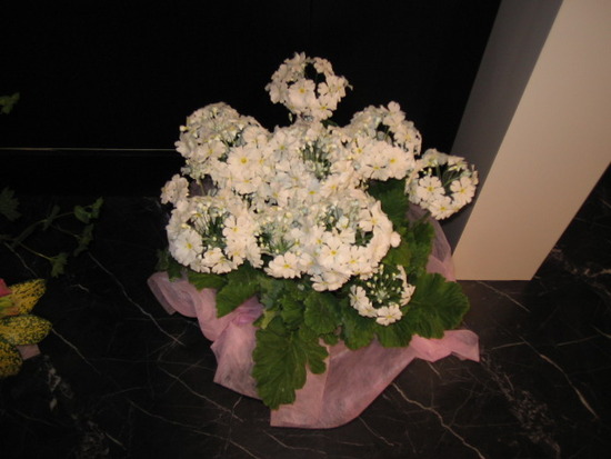 9147144F-759E-46D4-8F2C-B2309D6B4B34