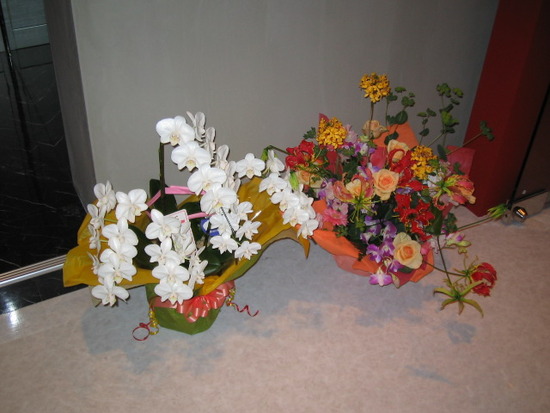 7071C58B-DA00-49B8-A021-263A5531DC2A