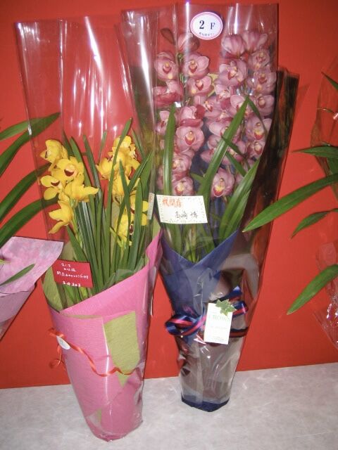 76ADCA51-1392-4A55-BC65-3FB52CFD22B6