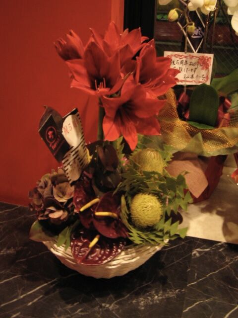 A4233E4B-4B4E-4B96-8B5E-4C380507429B