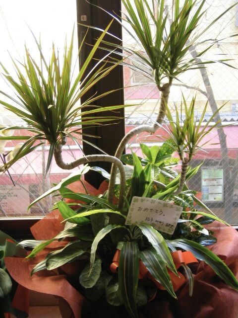 0B7F7AB7-D214-4726-A2EF-6C85C30BE2C5