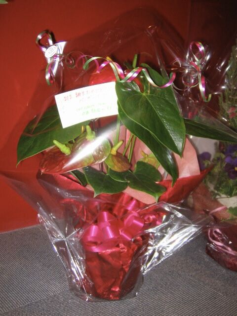 5856B1FB-B45A-4A96-A109-E702AABB8EF0