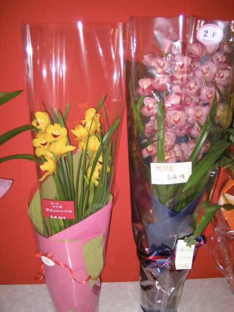 BAF81D9A-EA98-4B13-9D31-DF27F493F17C