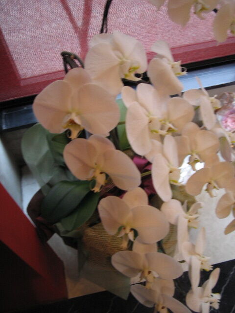 CB10093D-0EE1-4E24-AEFE-979742E09E60