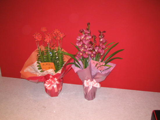 59E7B3C1-54F3-4405-A6B0-0B3ECDBADD1E