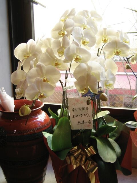 53E5E5AD-4E5A-4737-A6D3-3B5C15B488C2