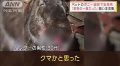 【悲報】「クマかと…」ペット“誤射”で安楽死 飼い主悲痛 北海道夕張市 - 事件
