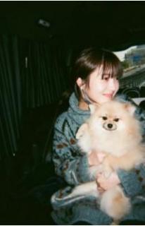 浜辺美波、愛犬とイチャイチャ姿が可愛すぎ！美女×モフモフの癒し効果がハンパない