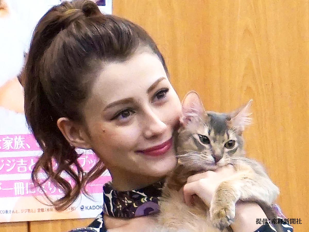 ダレノガレ明美（32）預かりボランティアしていた保護猫ちゃんが家族に仲間入り
