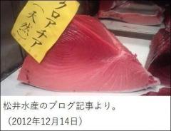 養殖マグロの「天然」偽装が横行？仲卸業者に真相を聞く
