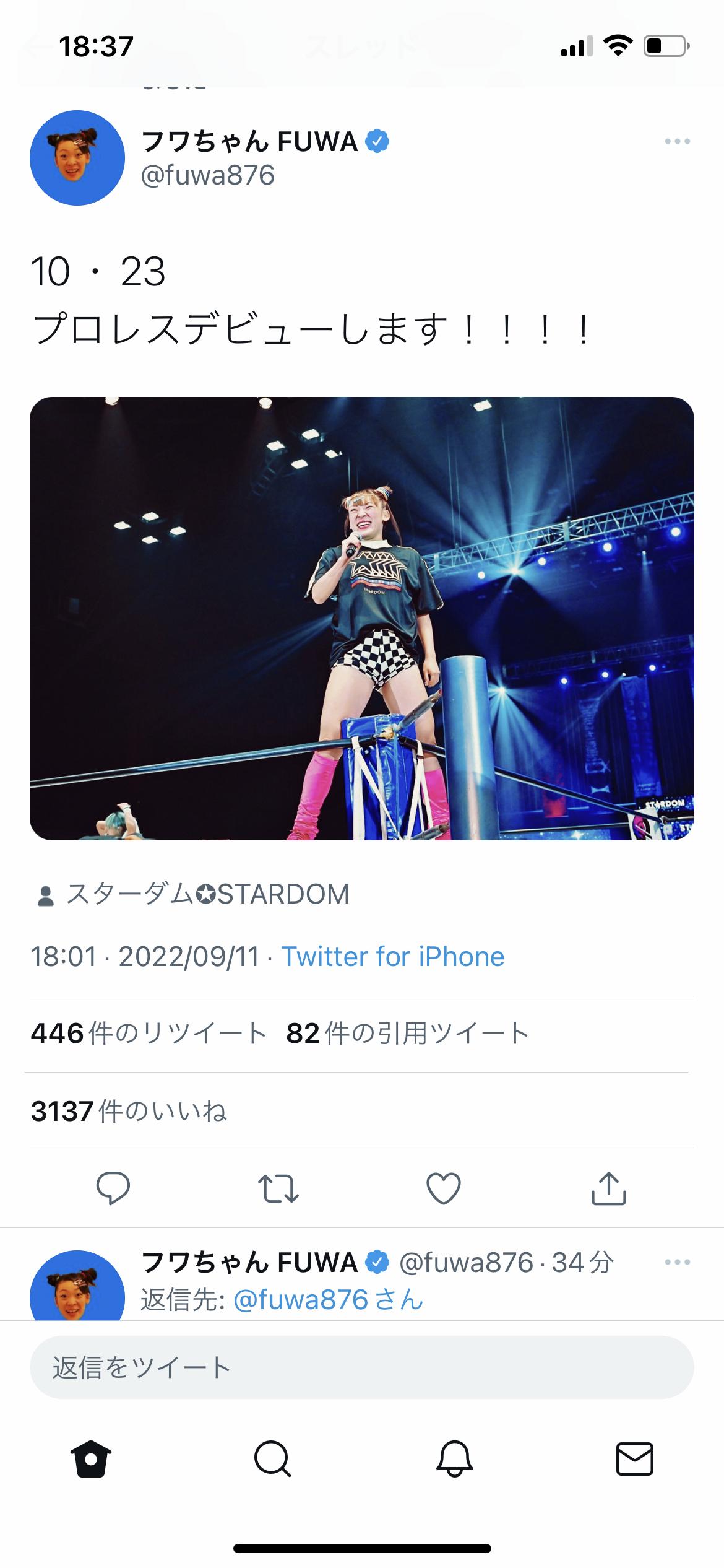 フワちゃん、今度はプロレスにいっちょ噛む