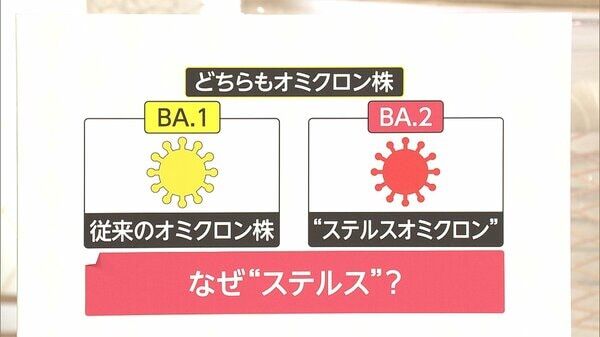 【速報】ステルスオミクロンの市中感染　東京都で初めて確認