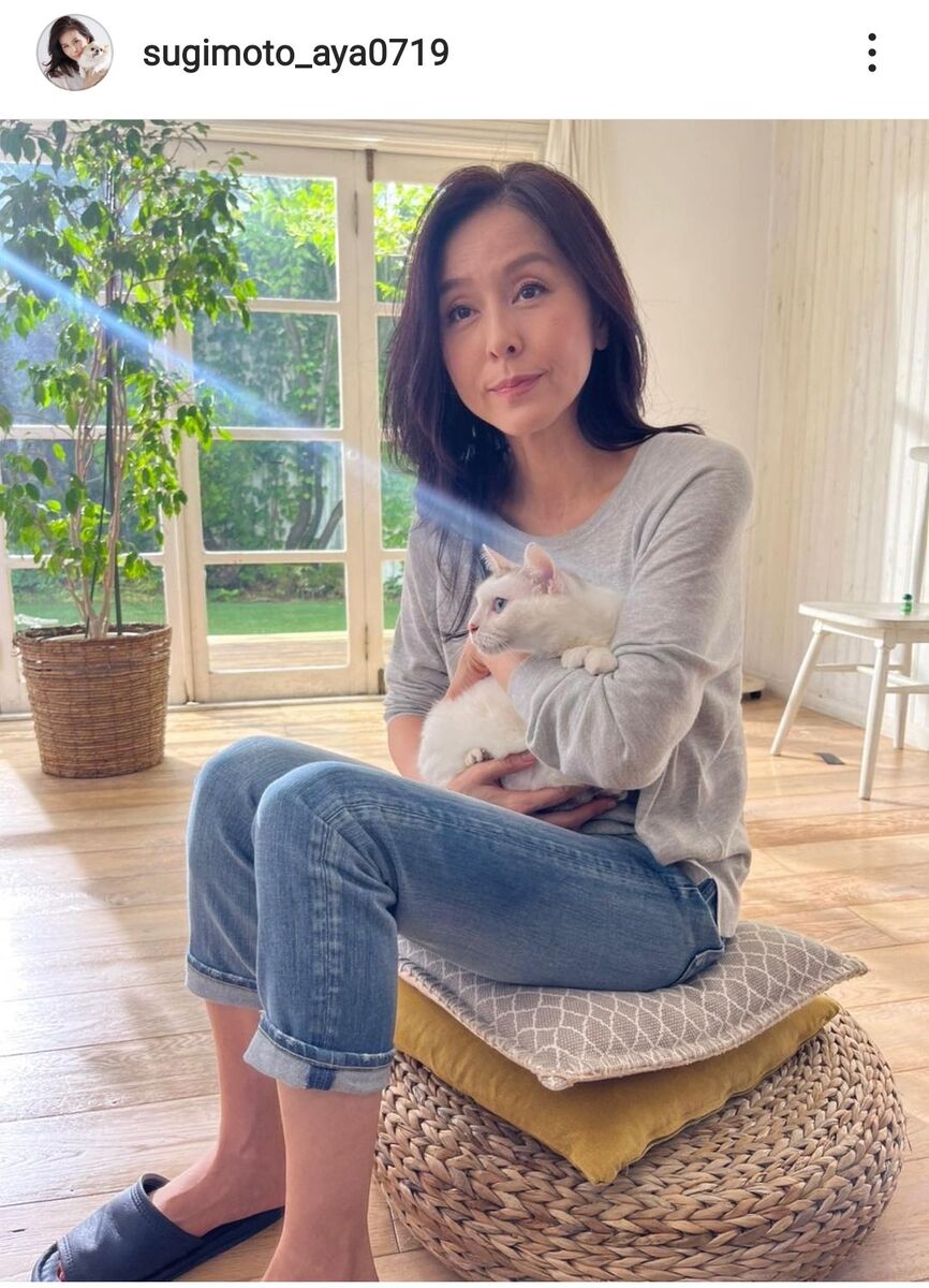 【画像】杉本彩（56）考えてほしい犬や猫の真夏のケア