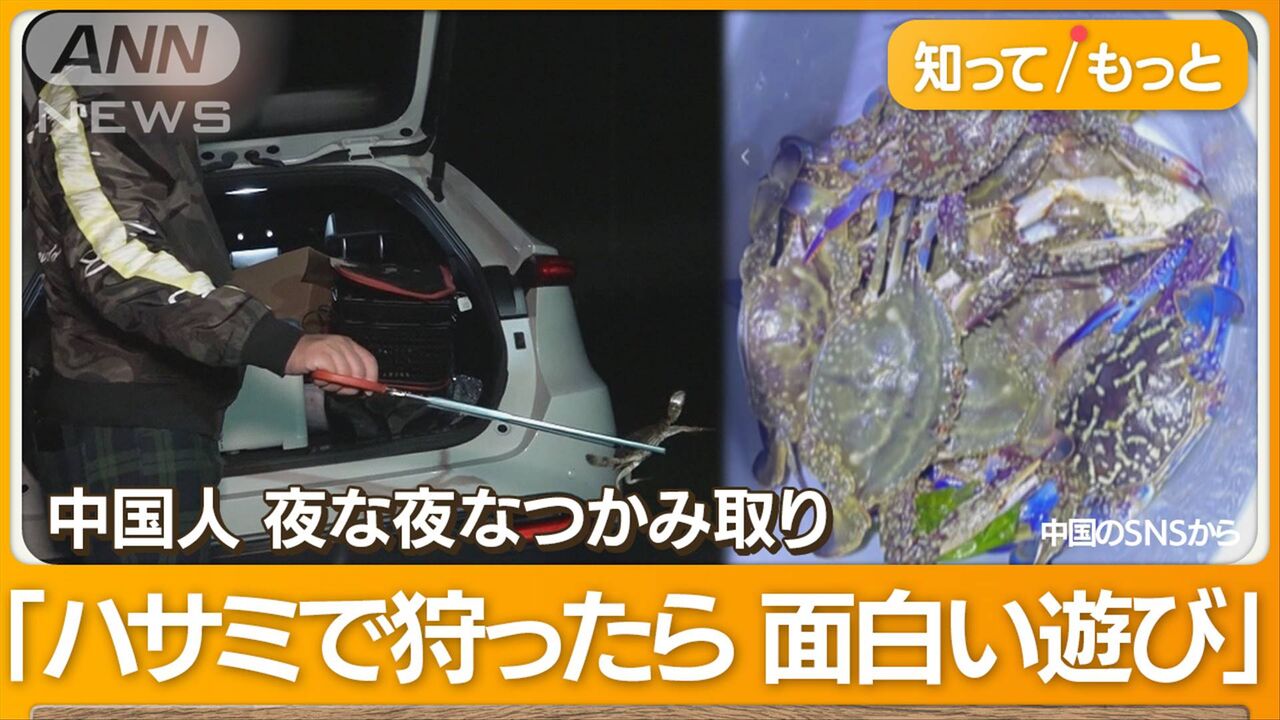 【密漁】止まらない中国人の密漁…「捕まえてみろ」伊勢海老やアワビなどの“漁果”をSNSで自慢