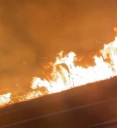 【過失】 男性グループがBBQ中…河川敷で火災 枯草等約1万平方m燃える