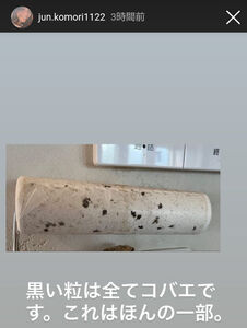 【芸能】小森純（36）床下腐食でコバエが湧き出す欠陥住宅発覚