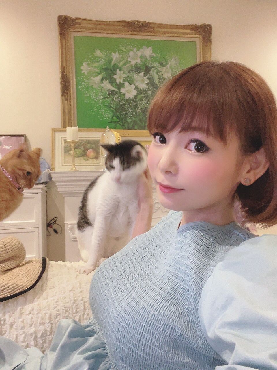 【健康】“愛猫家”中川翔子、猫の高血圧症に警鐘