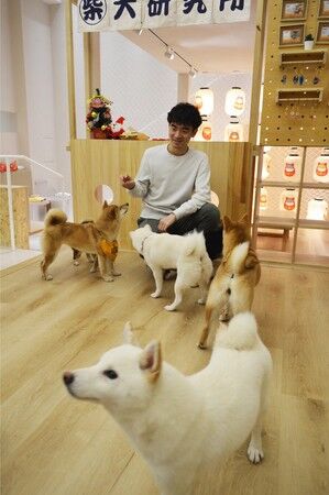 【中国】日本の「シバイヌ」ブーム　若者に人気