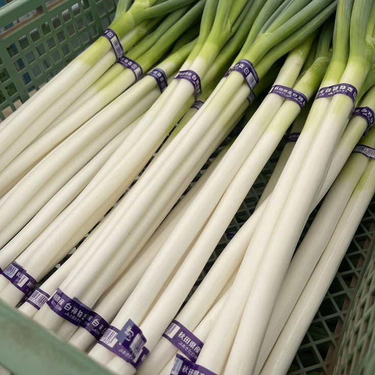 【芸能】大橋未歩、スーパーからの帰り道でネギを“紛失”
