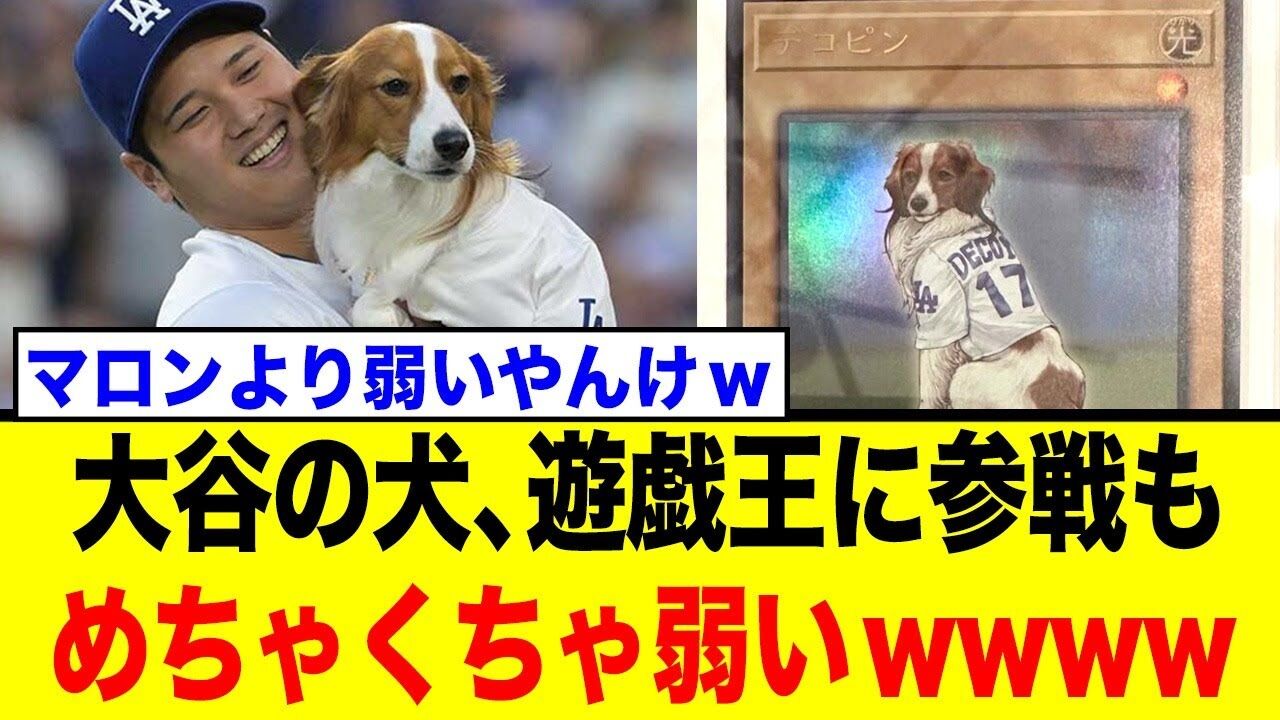 大谷翔平選手の犬が遊戯王カード化！？その驚きの価値とは