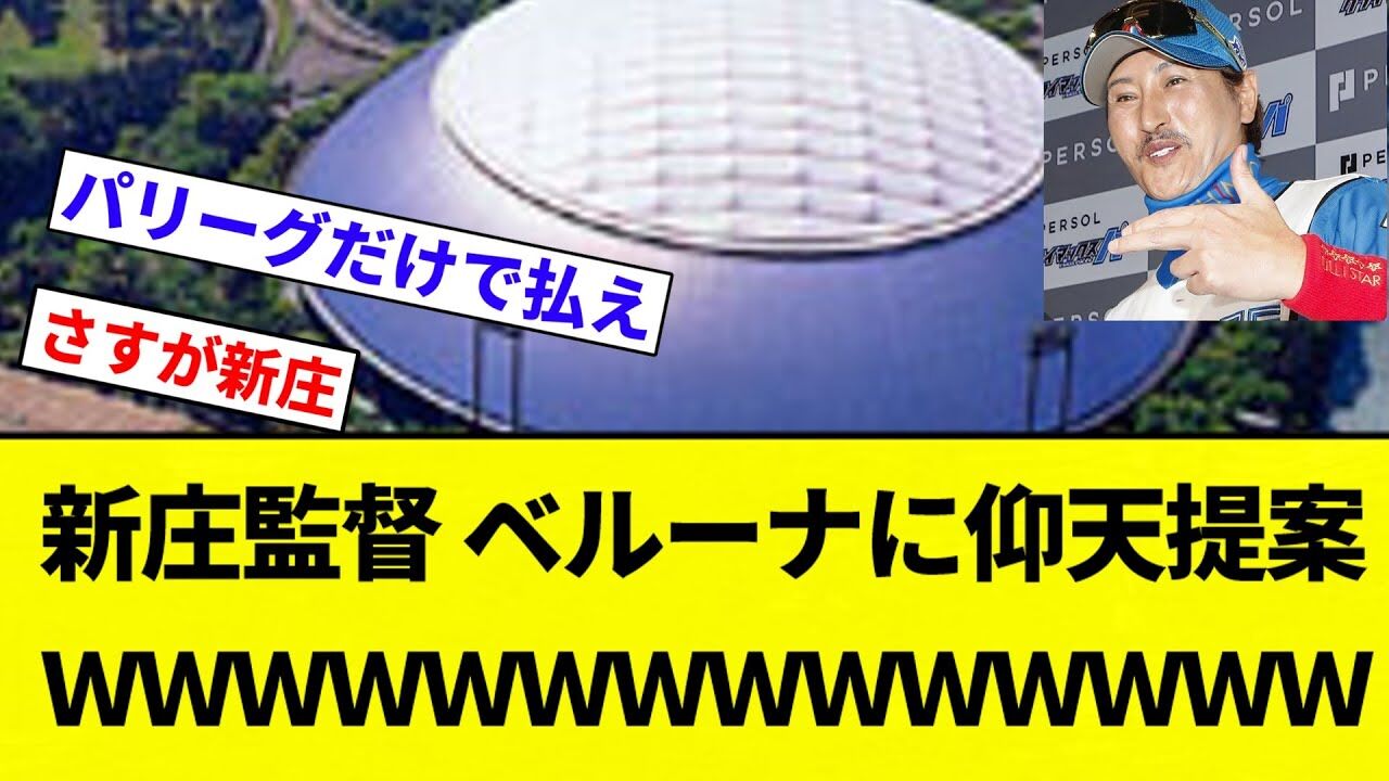 新庄監督が屋根を取れってｗｗｗ ベルーナドームの大胆プランを考察しようぜ