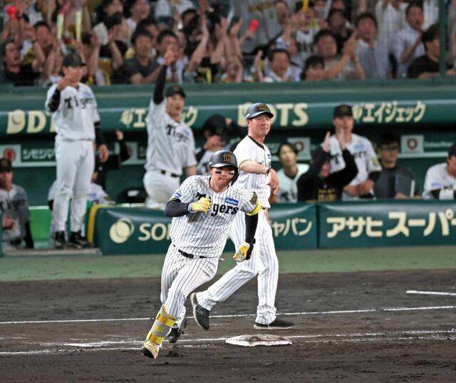 【朗報】阪神、連敗脱出！坂本が打ちまくった試合やんけ！