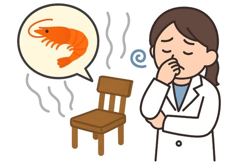 机からエビが挿絵③