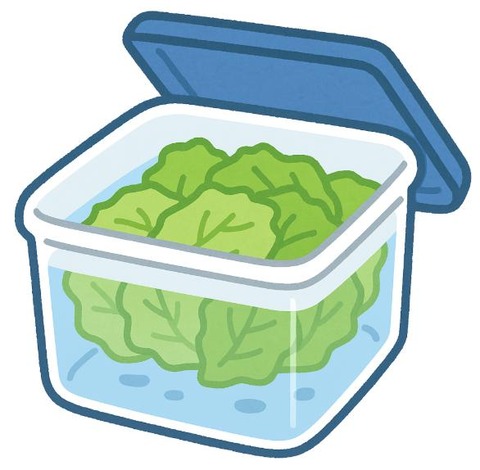 ちぎったレタス