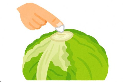 レタスに小麦粉