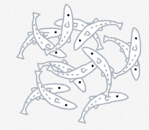 魚が降ってくる