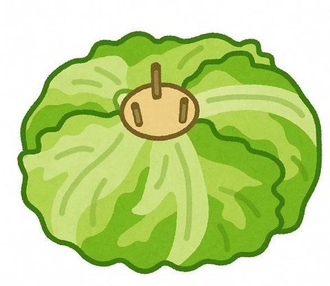 レタスに爪楊枝