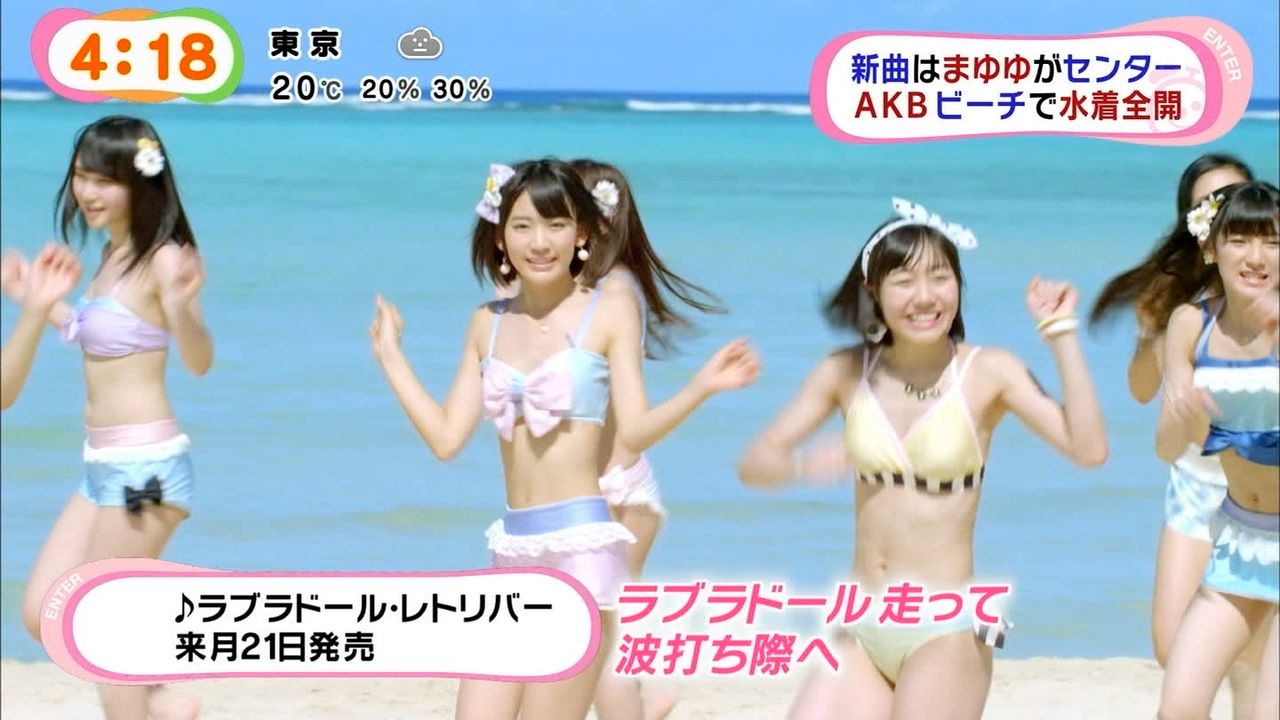 Akb48 ラブラドール B ぐるぐる王国特典 レトリバー 小嶋 渡辺 代引き不可 レトリバー