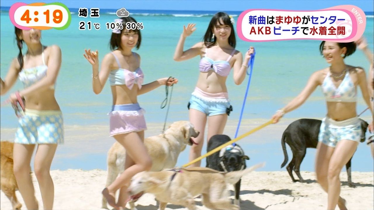 Akb48 ラブラドール レトリバー ジャケット写真 Mvを公開 News Edge ニュースエッジ