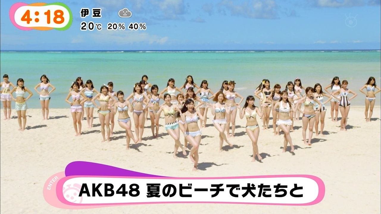 Akb48 ラブラドール レトリバー ジャケット写真 Mvを公開 News Edge ニュースエッジ