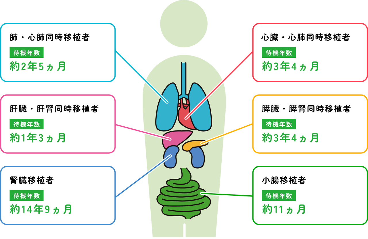 臓器移植緊急度基準見直し : 今ドキ！ ニュースかわら版