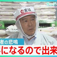 小泉大臣の強硬姿勢が浮き彫りに！卸売業者の悲鳴と市場の変化